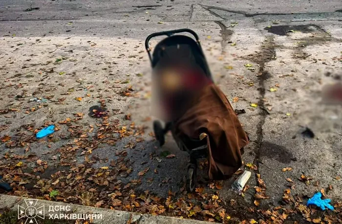 РФ вдарила по парку на Харківщині: загинули дві жінки та немовля, серед поранених – семеро дітей