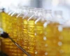 Продажі олії та експорт зерна різко скоротилися через атаки РФ
