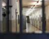 На Закарпатті чоловік отримав вісім років в’язниці через 16-секундне відео