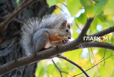 Синоптикиня назвала день, коли Україна буде однією з найтепліших країн Європи