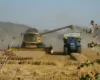 Світ зіткнувся з дефіцитом дизелю: ціни на продукти можуть зрости