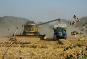 Світ зіткнувся з дефіцитом дизелю: ціни на продукти можуть зрости