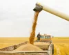 РФ зриває Казахстану зерновий сезон і блокує шлях до Європи