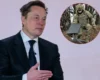 Маск назвав справжню причину запровадження обмежень Starlink для ЗСУ