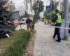 Атака на Київ 8 жовтня: кількість постраждалих зросла до 14 осіб, троє загиблих