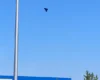 Окупанти вдарили по «Епіцентру» у Вінниці
