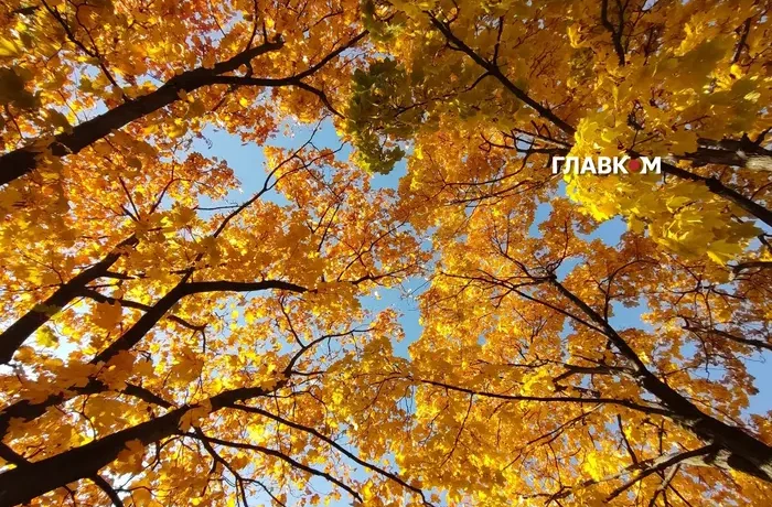 Якість повітря у Києві 24 жовтня 2026 року