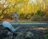 178 боїв за добу: лінія фронту станом на 27 жовтня 2026