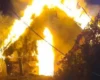Через атаку РФ на Київщині спалахнув центр порятунку птахів «Садиба Нюшанік»