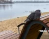 Вихідні завершуються заморозками і туманом: погода на 4 жовтня 2026 року