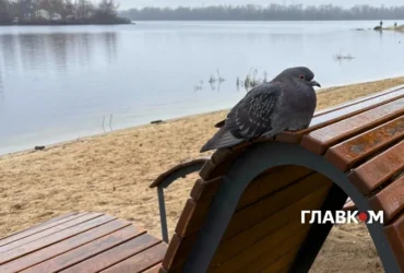 Вихідні завершуються заморозками і туманом: погода на 4 жовтня 2026 року