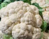 Продуктові ярмарки у Києві 27 жовтня – 1 листопада: за якими адресами можна зробити покупки