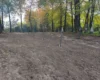 У Польщі знайдено останки понад 40 українців, убитих у 1944 році