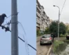 Комунальний курйоз: у Києві стовп раптово «перетворився» на фонтан (відео)