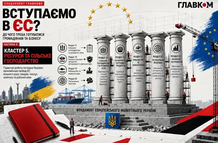 Вступаємо в ЄС. До чого треба бути готовим громадянам та бізнесу. Частина 6