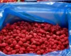 Дефіцит у Європі грає на руку. Експорт популярної ягоди приніс Україні майже €30 млн