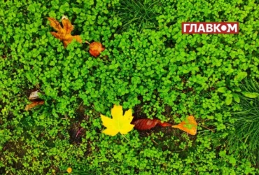 «Укргідрометцентр» пояснив, що ховається за назвою «бабине літо» та скільки воно триває