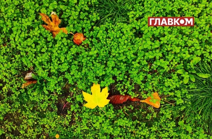«Укргідрометцентр» пояснив, що ховається за назвою «бабине літо» та скільки воно триває