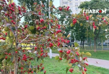 Метеорологічна осінь до Києва прийшла із запізненням: підсумки вересневих аномалій