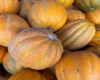 Продуктові ярмарки у Києві на вихідних 24-25 жовтня: де можна зробити покупки