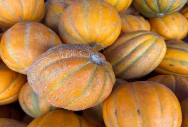 Продуктові ярмарки у Києві на вихідних 24-25 жовтня: де можна зробити покупки