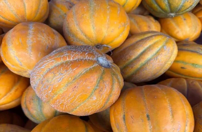 Продуктові ярмарки у Києві на вихідних 24-25 жовтня: де можна зробити покупки