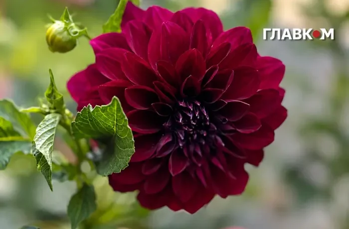 Заморозки та туман на вихідних: погода в Україні на 3 жовтня 2026 року