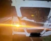 На Львівщині вантажівка на смерть збила 700-кілограмового зубра