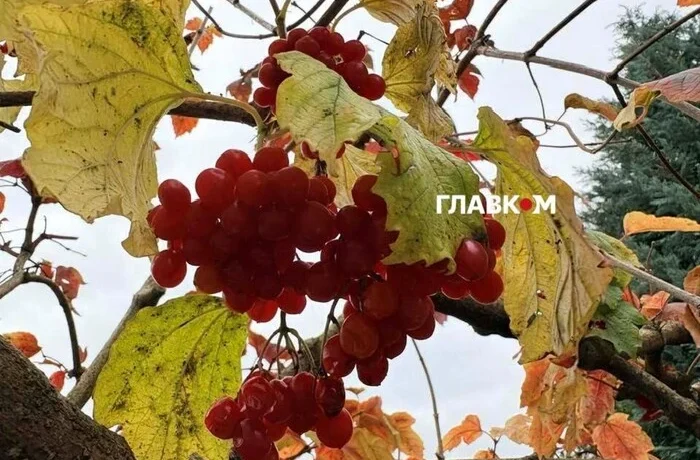 Якість повітря у Києві 30 жовтня 2026 року