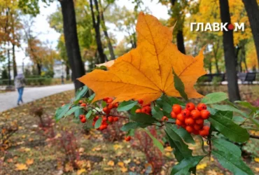 В Україні до 12° і дощі у більшості областей: погода на 31 жовтня 2026 року