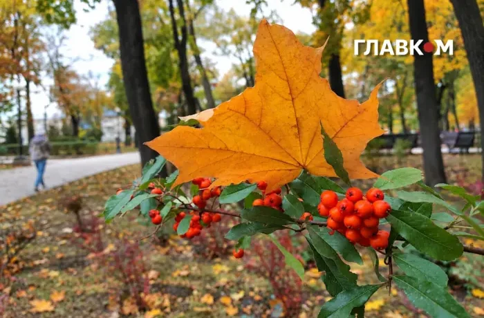 В Україні до 12° і дощі у більшості областей: погода на 31 жовтня 2026 року