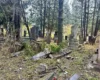 Окупанти атакували у Рівному кладовище, де поховані військові (фото)
