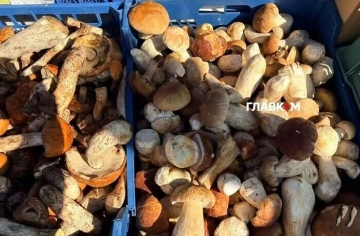 Продуктові ярмарки у Києві 13-18 жовтня: за якими адресами можна зробити покупки