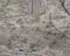 Під Львовом унаслідок російської атаки пошкоджено логістичний комплекс