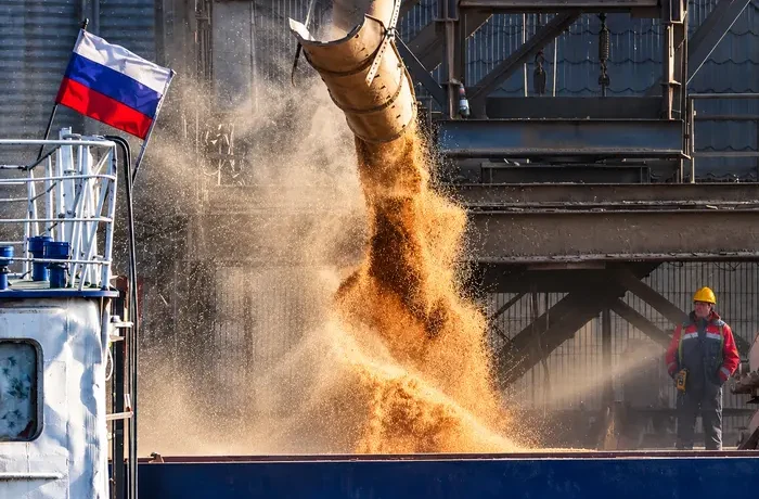 Росія вперше за три місяці відкрила вихід зерновозам з Азовського моря – Bloomberg