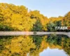 На заході України дощі, решта регіонів у теплі: погода на 9 жовтня 2026