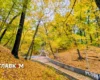 В Україні до 15° і дощі на заході: погода на 27 жовтня 2026 року