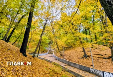 В Україні до 15° і дощі на заході: погода на 27 жовтня 2026 року