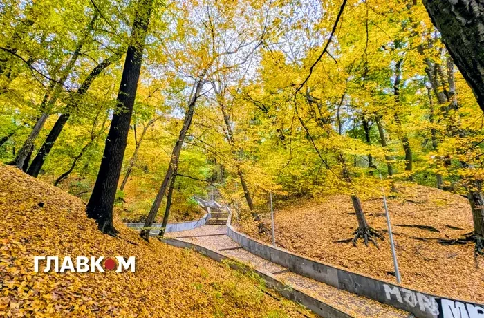 В Україні до 15° і дощі на заході: погода на 27 жовтня 2026 року