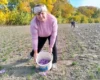 На Волині стартував сезон збору найдорожчої у світі спеції