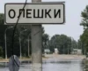 Єврокомісія зробила заяву через критичну ситуацію в окупованих Олешках