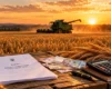 Нові правила для аграріїв із жовтня: хто зможе отримати критичність і бронювання