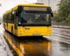 Низка столичних автобусів і один тролейбус 31 жовтня – 1 листопада курсуватимуть зі змінами: перелік