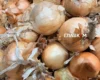 Продуктові ярмарки у Києві на вихідних 31 жовтня – 1 листопада: де можна зробити покупки