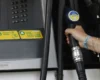 Ціни на пальне 7 жовтня 2026: скільки коштують бензин, дизель та газ на АЗС