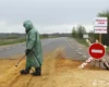 Чума в Росії: ВООЗ зробила офіційну заяву