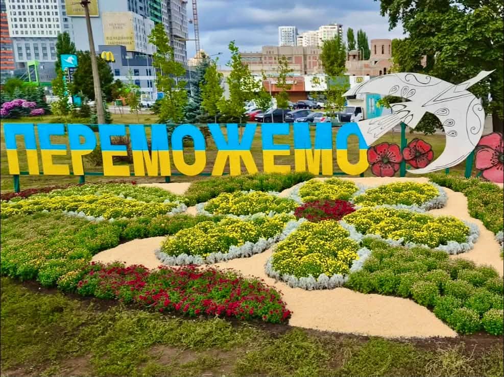 Хризантеми чудово тримають форму квітучої кулі та є стійким до перших осінніх заморозків