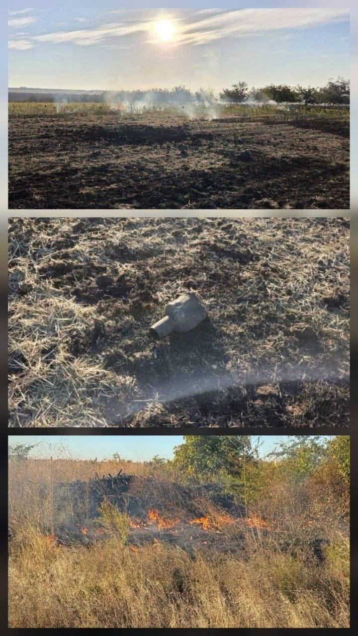 Після падіння уламків дрона загорілася рослинність