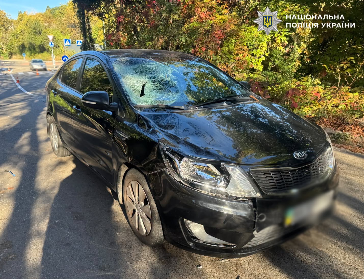 Поліцейські затримали зловмисника на місці ДТП