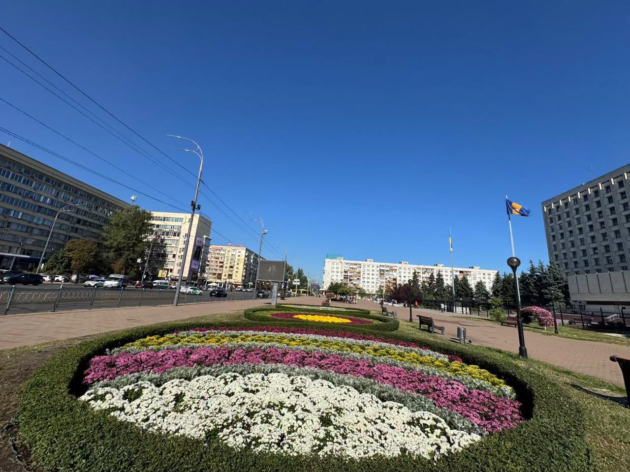 Квіти представлені у широкій палітрі кольорів